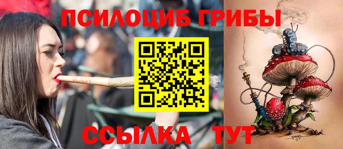 Галлюциногенные грибы Psilocybine cubensis Чапаевск